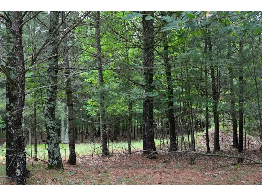 TBD Benson Road, Grantsburg, WI 54840 - #3