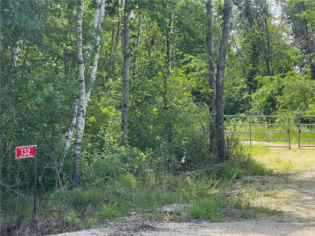 132 90th Avenue, Clayton, WI 54004 - #1