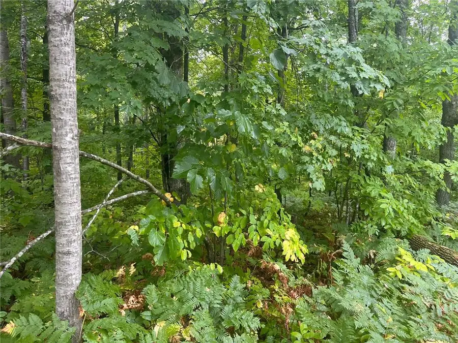 TBD 10th Street, McKinley, WI 54829 - #3