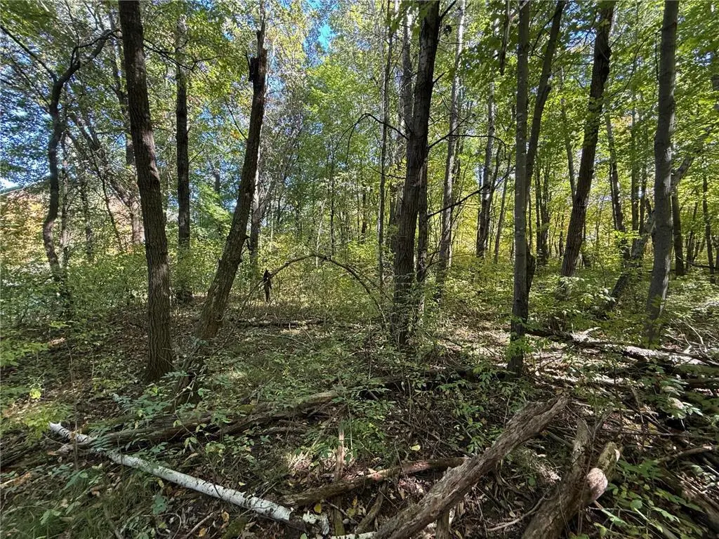tbd 90th Avenue, Amery, WI 54001 - #1