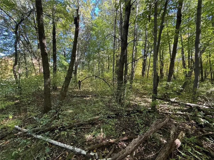 tbd 90th Avenue, Amery, WI 54001 - #2
