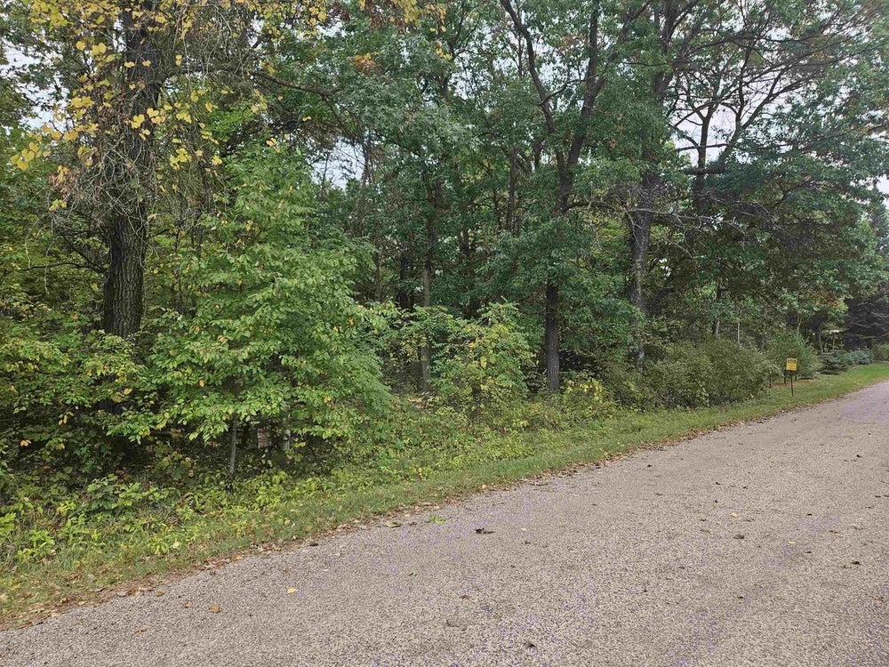 lot-7-carson-heights-road-mauston-wi-53948-bhgre