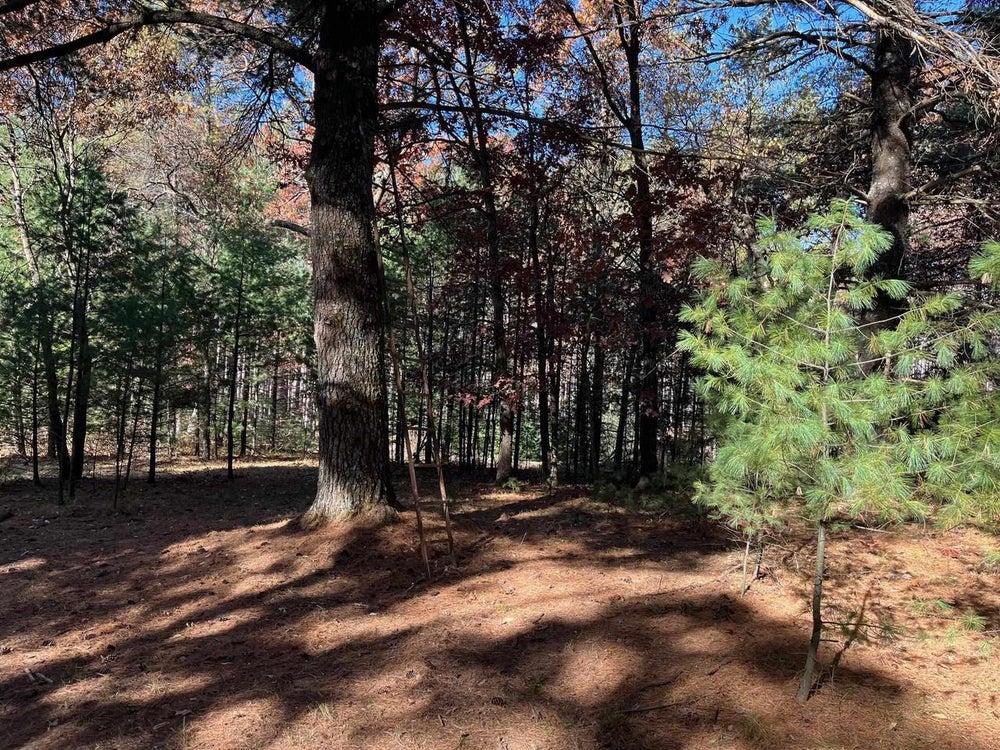 705 County Road J, Adams, WI 53910 BHGRE