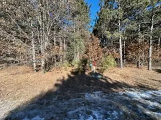 W3152 Yellow Banks Trail, Nekoosa, WI 54457 - #1