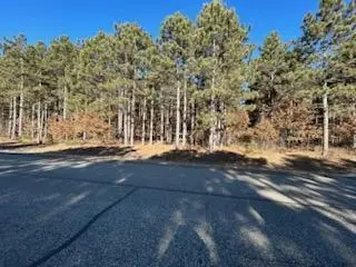 W3152 Yellow Banks Trail, Nekoosa, WI 54457 - #2