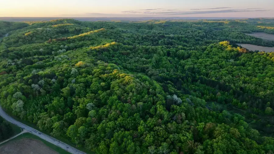 3824 County Hwy E, Warrens, WI 54666 - Image #3