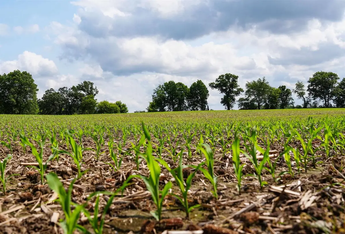 W11851 Highway 16/60, Columbus, WI 53925 - Image #1