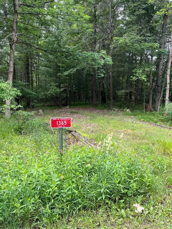 1365 Fur Court, Wisconsin Dells, WI 53965