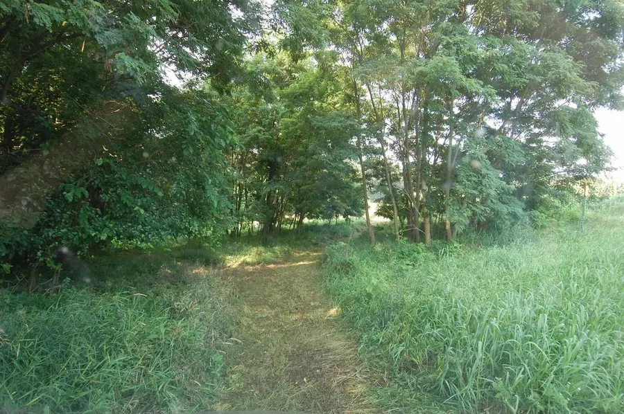 45 Spring Hill Rd Road, Richland Center, WI 53581 - #2