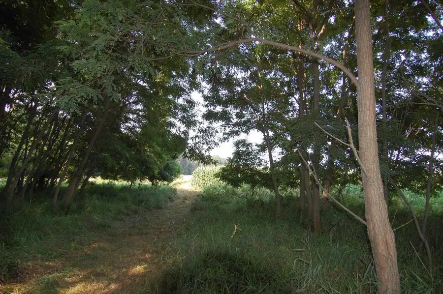 45 Spring Hill Rd Road, Richland Center, WI 53581 - #3