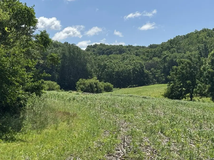 W8785 Highway 82, Elroy, WI 53929 - #2