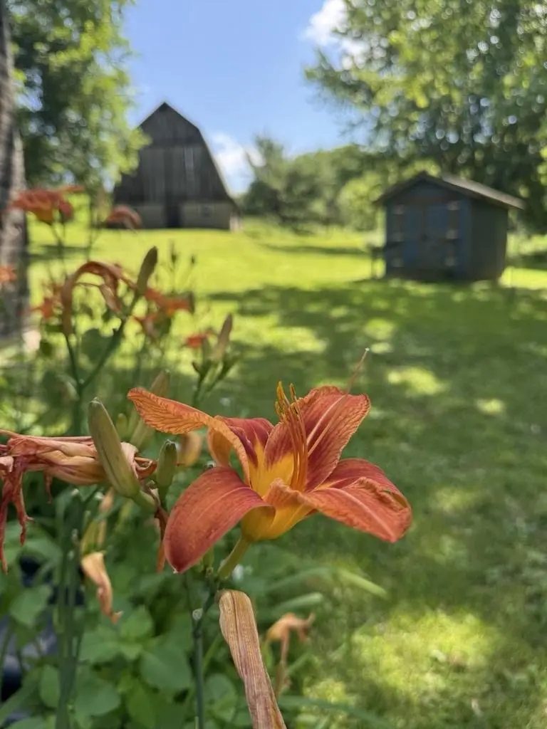 W8785 Highway 82, Elroy, WI 53929 - #3