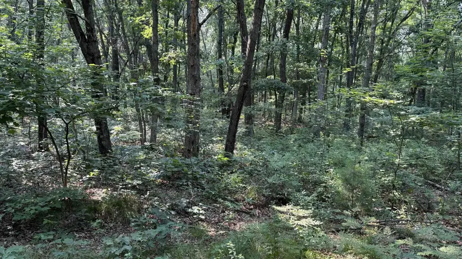 #3