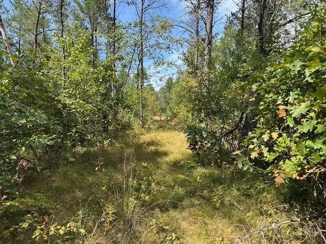 36.34 Ac Retirement Lane, Necedah, WI 54646 - #2