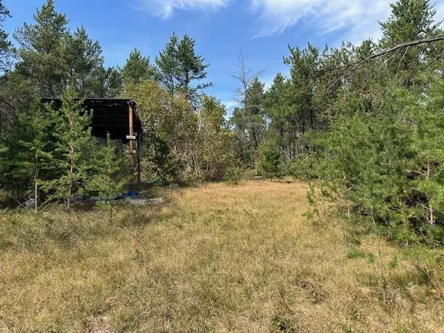 36.34 Ac Retirement Lane, Necedah, WI 54646 - #3
