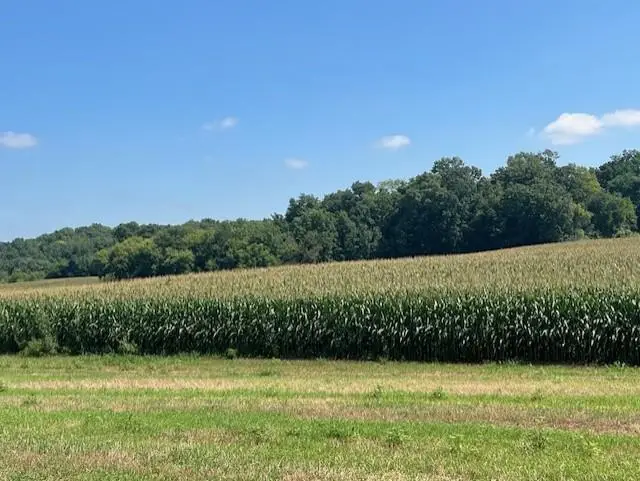 L20 Lindale Drive, Cross Plains, WI 53528 - #3