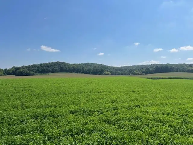 L30-L31 Lindale Drive, Cross Plains, WI 53528 - #3