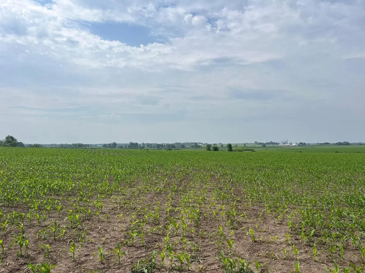 59 acres Meek Road, Arlington, WI 53911 - #1