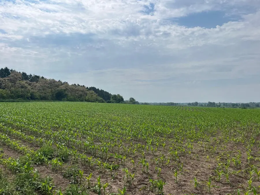 59 acres Meek Road, Arlington, WI 53911 - #2