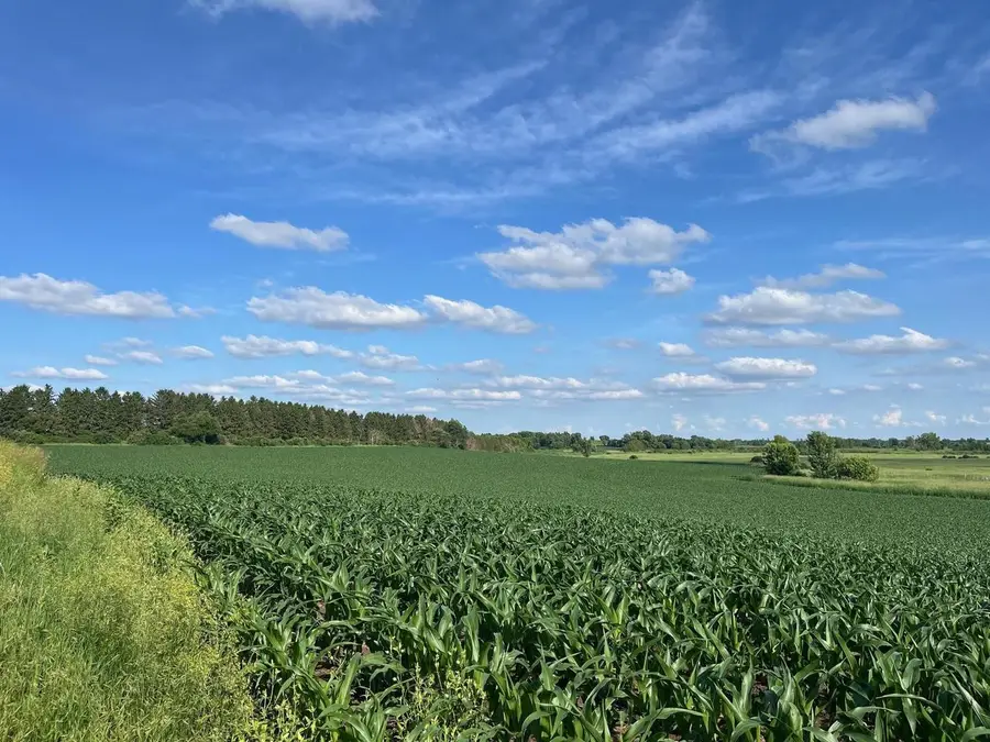 59 acres Meek Road, Arlington, WI 53911 - #3