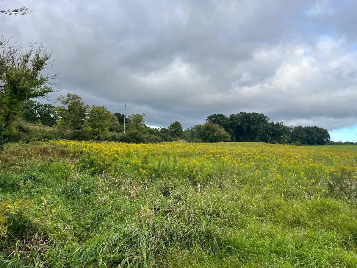 Lt 6 County Rd M, Westfield, WI 53964 - Image #1