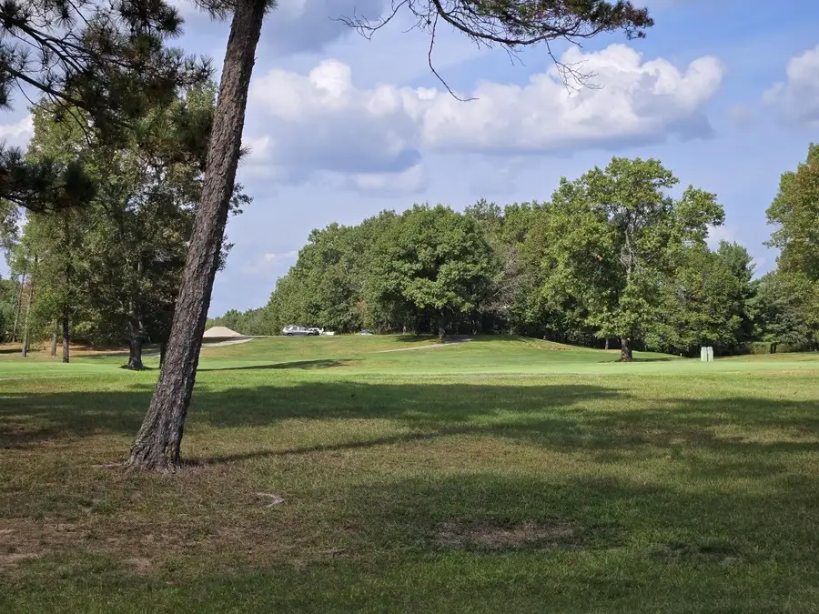 491 St Andrews Trail, Nekoosa, WI 54457 - Image #3