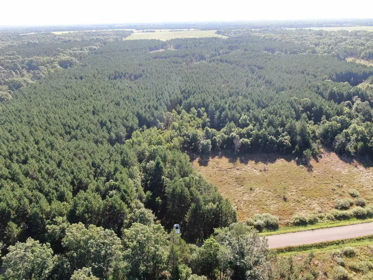 80 AC 9th Acres, Adams, WI 53910 - #1