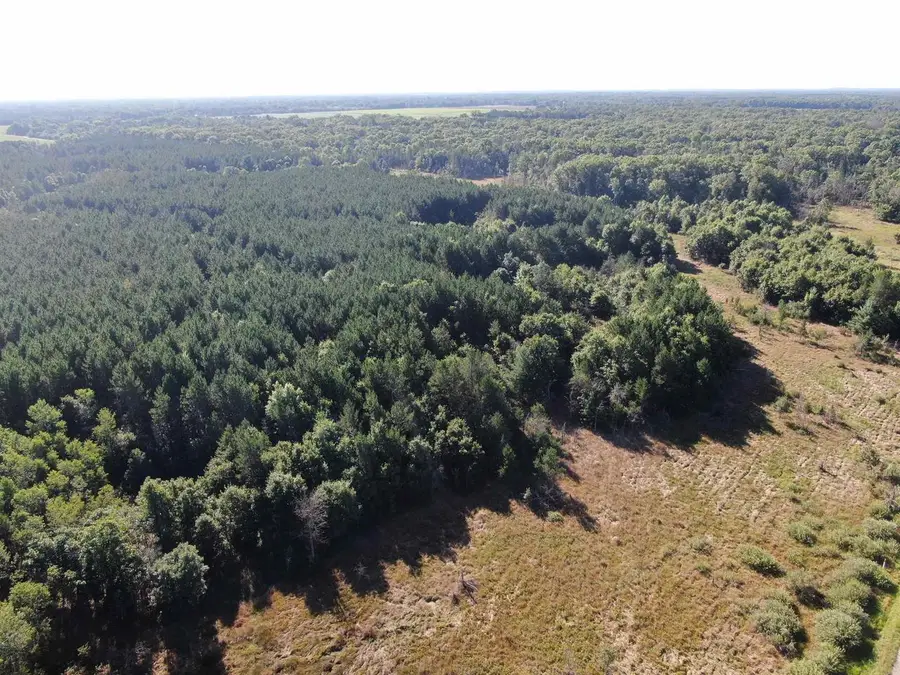 80 AC 9th Acres, Adams, WI 53910 - #3