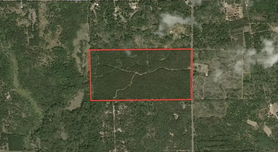 80 AC 13th Ave S Acres, Arkdale, WI 54613 - #2