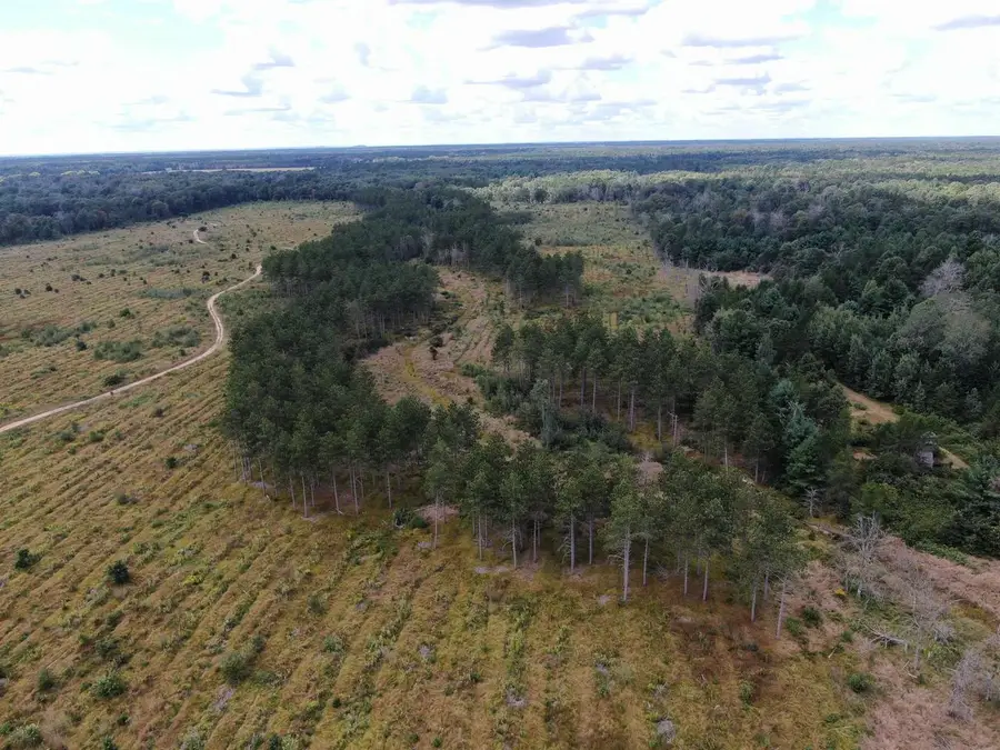 80 AC 13th Ave S Acres, Arkdale, WI 54613 - #3