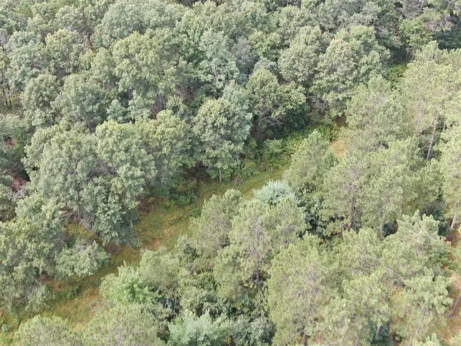 80 AC 13th Ave N Acres, Arkdale, WI 54613 - Image #3