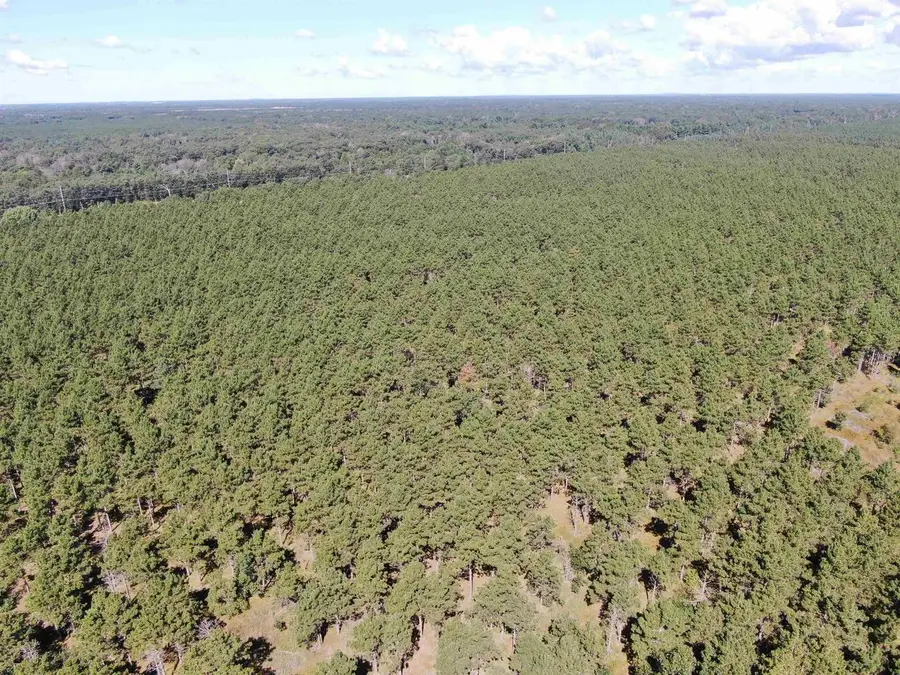 37 AC State Highway 13 Acres, Nekoosa, WI 54457 - Image #3