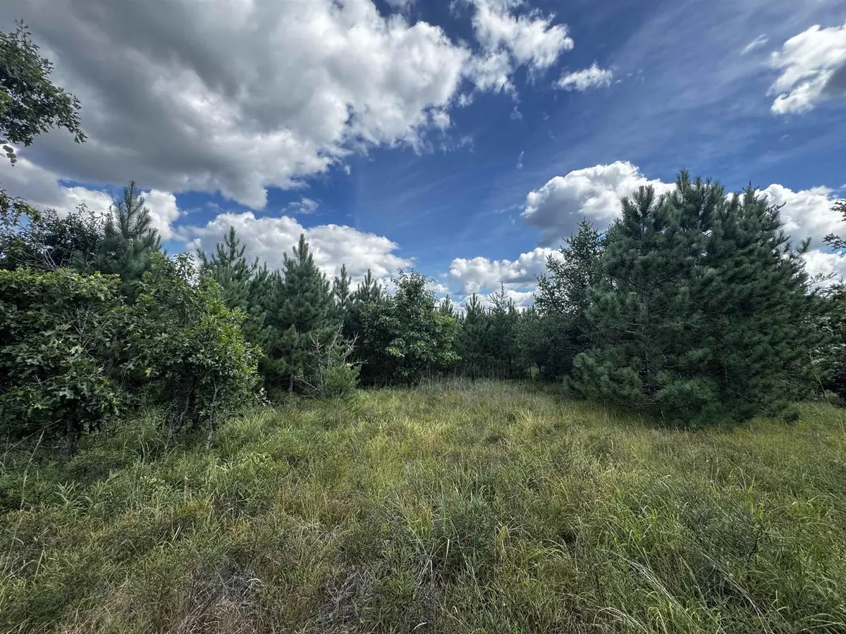 40 AC Buttercup Ave N Acres, Arkdale, WI 54613 - Image #1