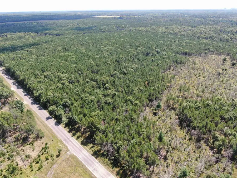 40 AC 15th Ave Acres, Arkdale, WI 54613 - Image #3
