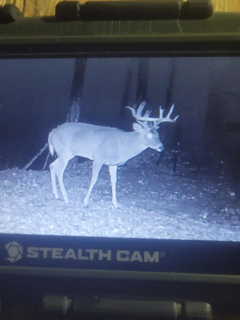 12461 River Road Road, Soldiers Grove, WI 54655 - #3