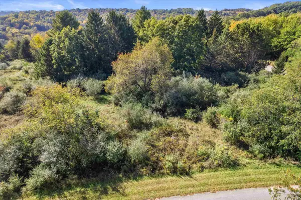 1104 Matterhorn Drive, Woodland, WI 53941