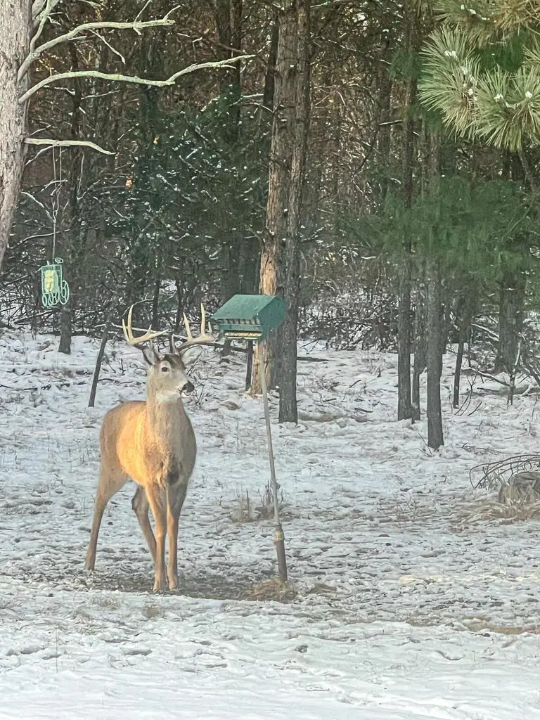 N14965 Pine Lane, Necedah, WI 54646 - Image #3