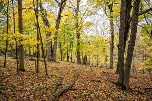 Lot 152 Pine Cone Lane, La Valle, WI 53941