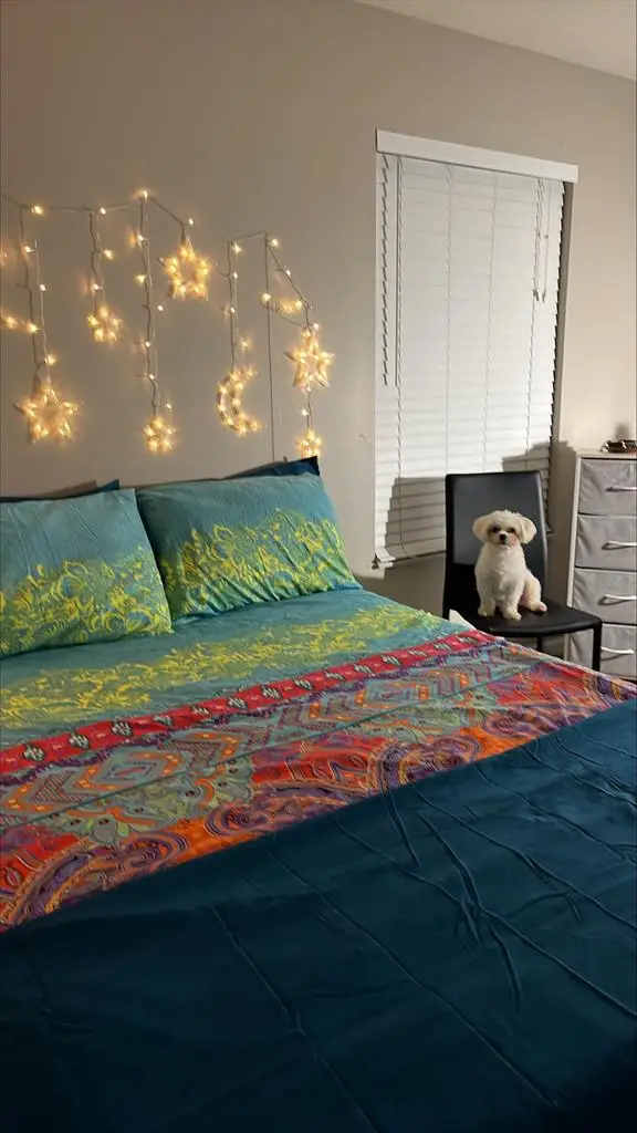 5206 Aspen Way, Madison, WI 53718 - Image #3