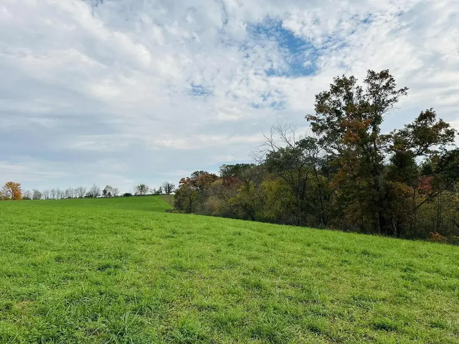 32.25 Acres Hwy 80, Elroy, WI 53929 - Image #3