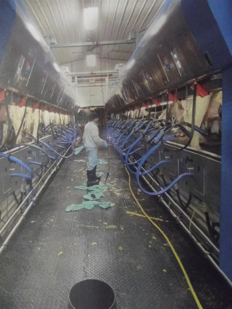 208784 River Run Road, Stratford, WI 54484 - Image #3