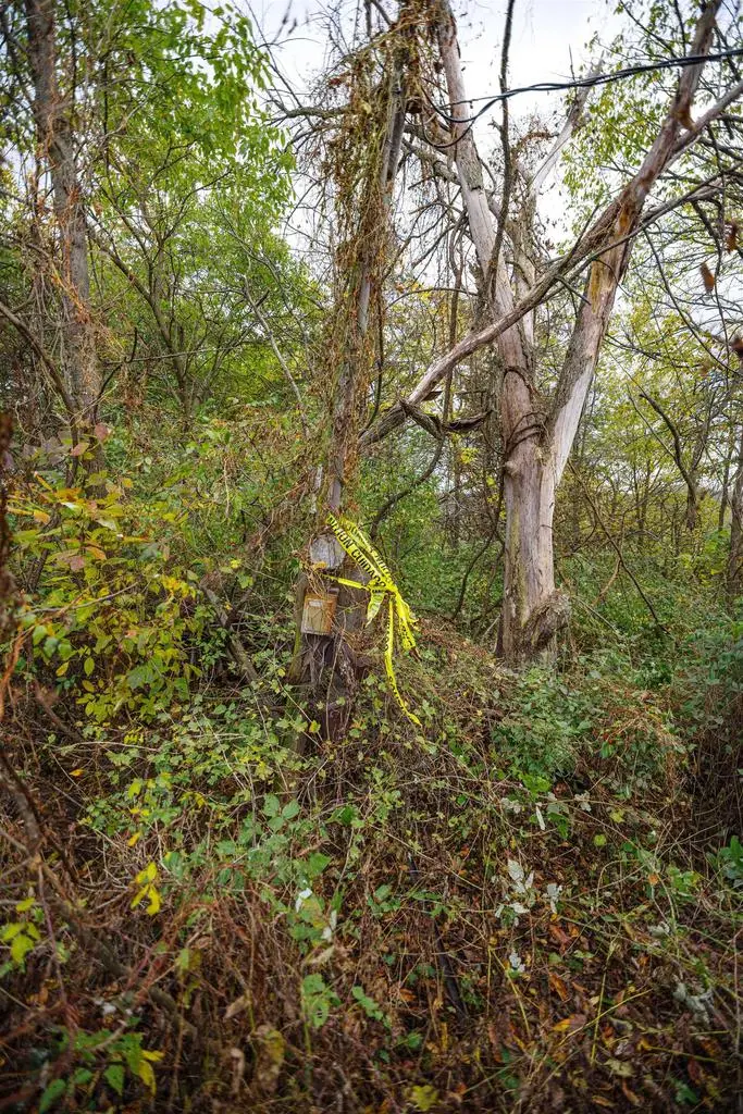 lot 2 County TB Road, Richland Center, WI 53581 - Image #3