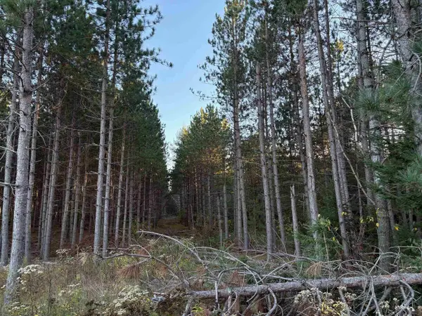 Lot 2 Plantation Road, Pelican Lake, WI 54463