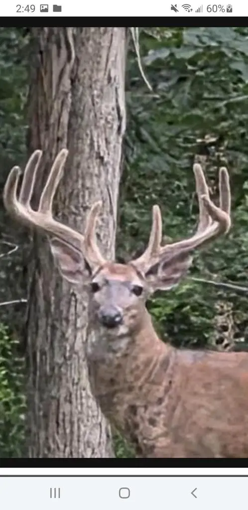 N8720 County Cx Road, Portage, WI 53901 - Image #1