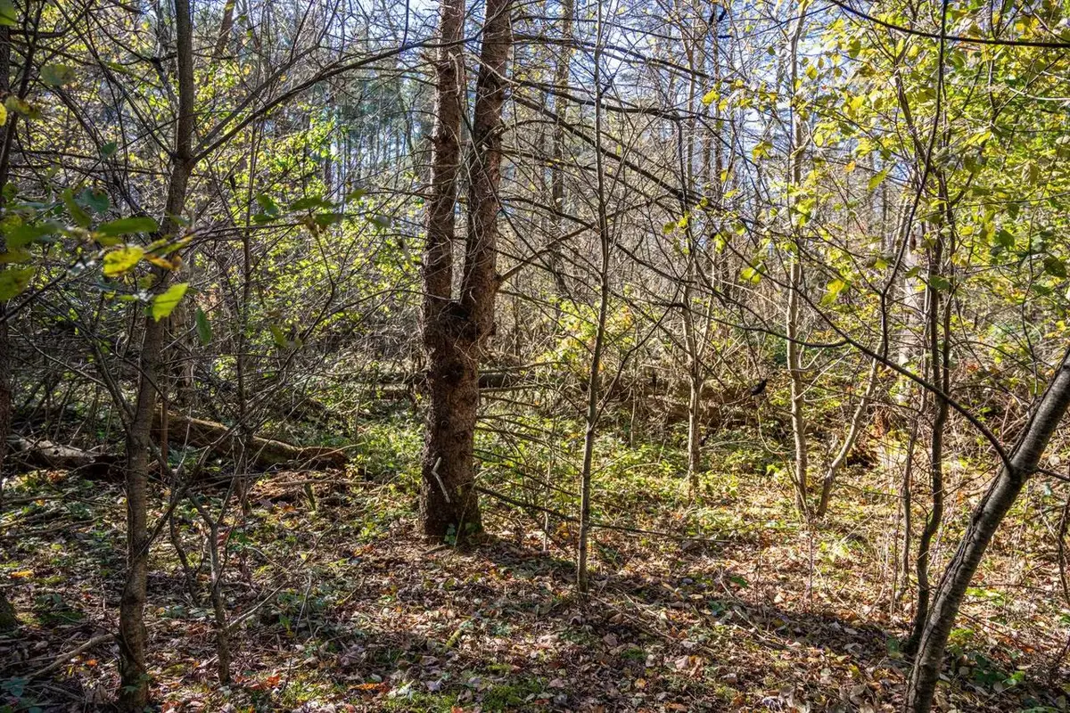 Lot 1 55th Street, Mauston, WI 53948 - Image #1