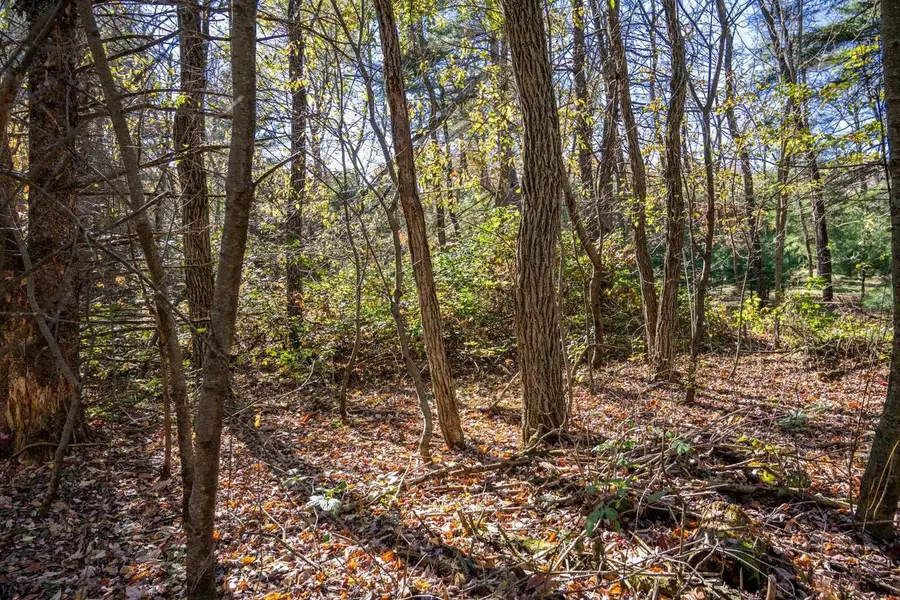 Lot 1 55th Street, Mauston, WI 53948 - Image #2