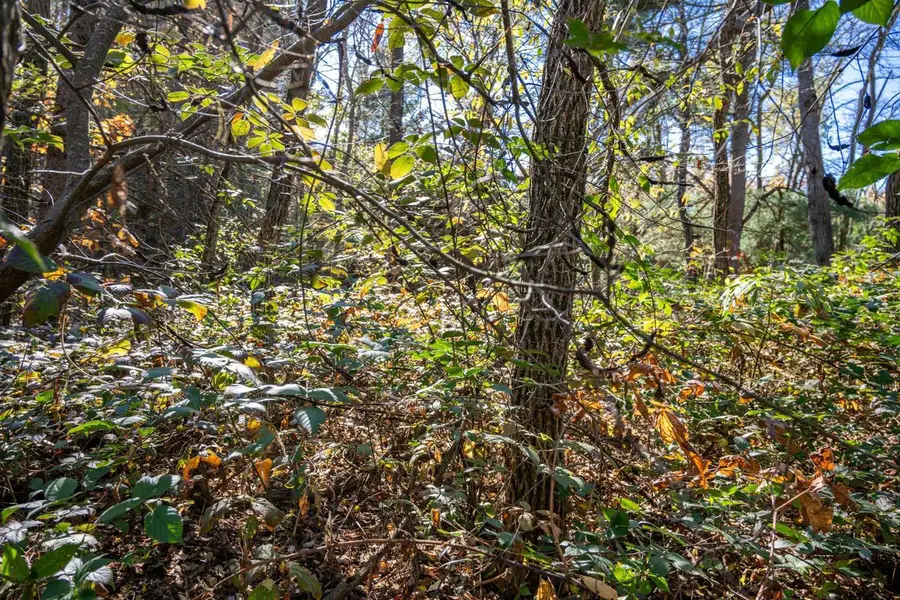 Lot 1 55th Street, Mauston, WI 53948 - Image #3