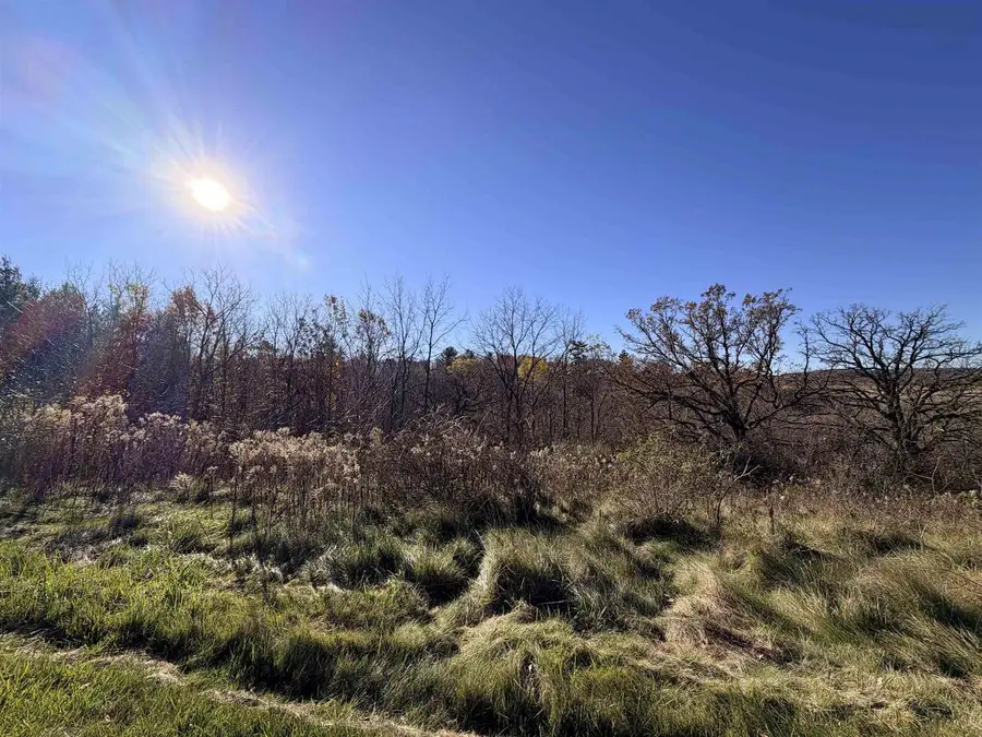 Lots 9 & 10 Honeycut Avenue, Tomah, WI 54660 - Image #3