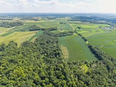 16195 Coy Lane, Viola, WI 54664