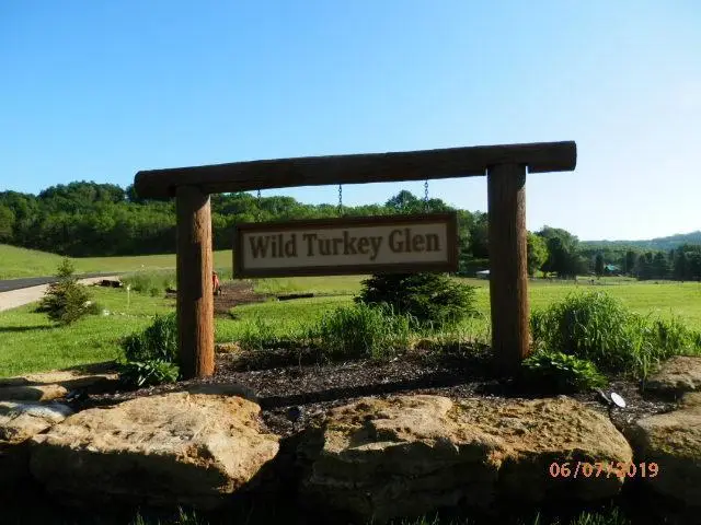 L10 Wild Turkey Lane, Richland Center, WI 53581 - #1